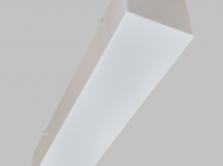 Leuko